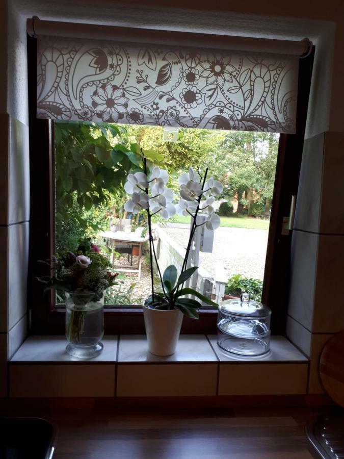 Ferienwohnung Weitblick Wolfshagen  ภายนอก รูปภาพ
