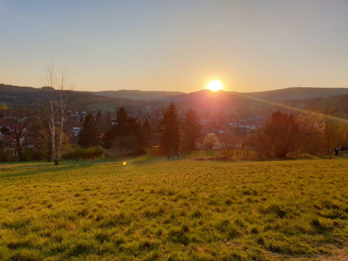 Ferienwohnung Weitblick Wolfshagen  ภายนอก รูปภาพ